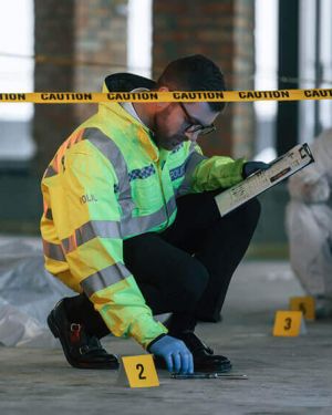 Maestría en Análisis e Investigación Criminal